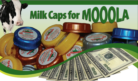 Graphic of Milk Caps for MOOOLA 